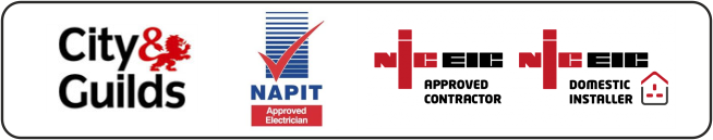 nic eic city and guilds napit qualified